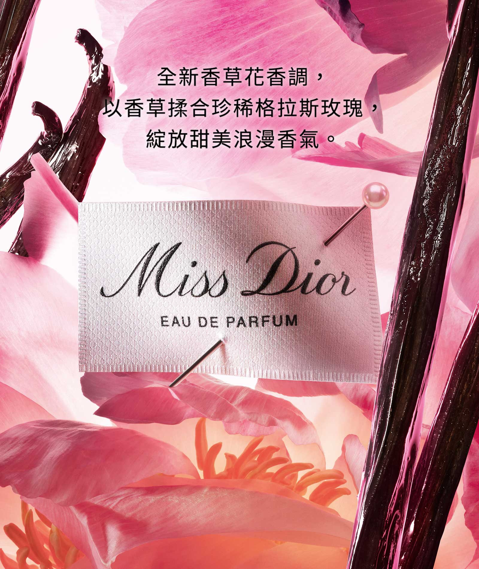 DIOR CAPTURE